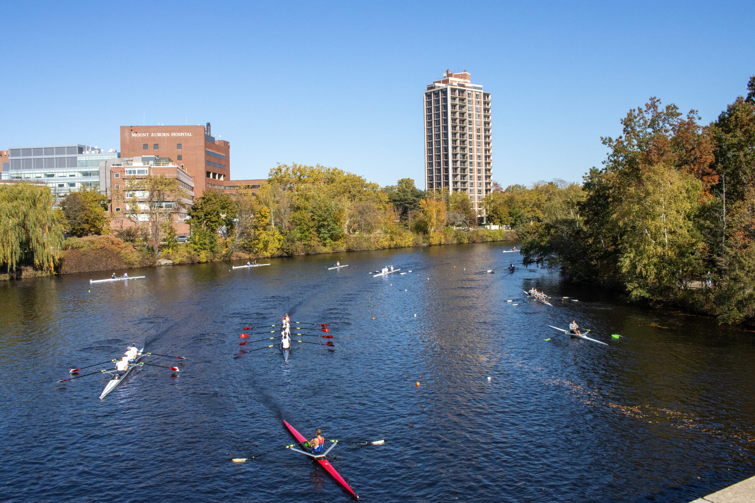 Think HOCR is Special? You’re Not Alone